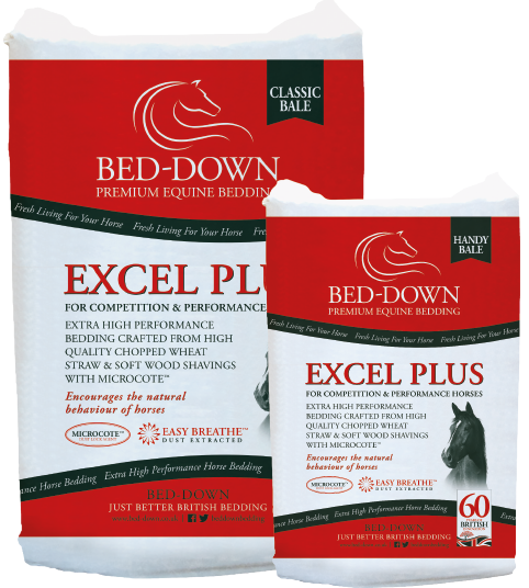 beddownbedding's tweet photo. Looking for a high performance bedding for your competition horse? Look no further - Bed-Down Excel Plus is uniquely EasyBreathe™ dust extracted with added #microcote to help lock up airborne dust created in the stable #betterbritishbedding #equinebedding #timetoexcel #excelplus https://t.co/3tXcdWSYZM