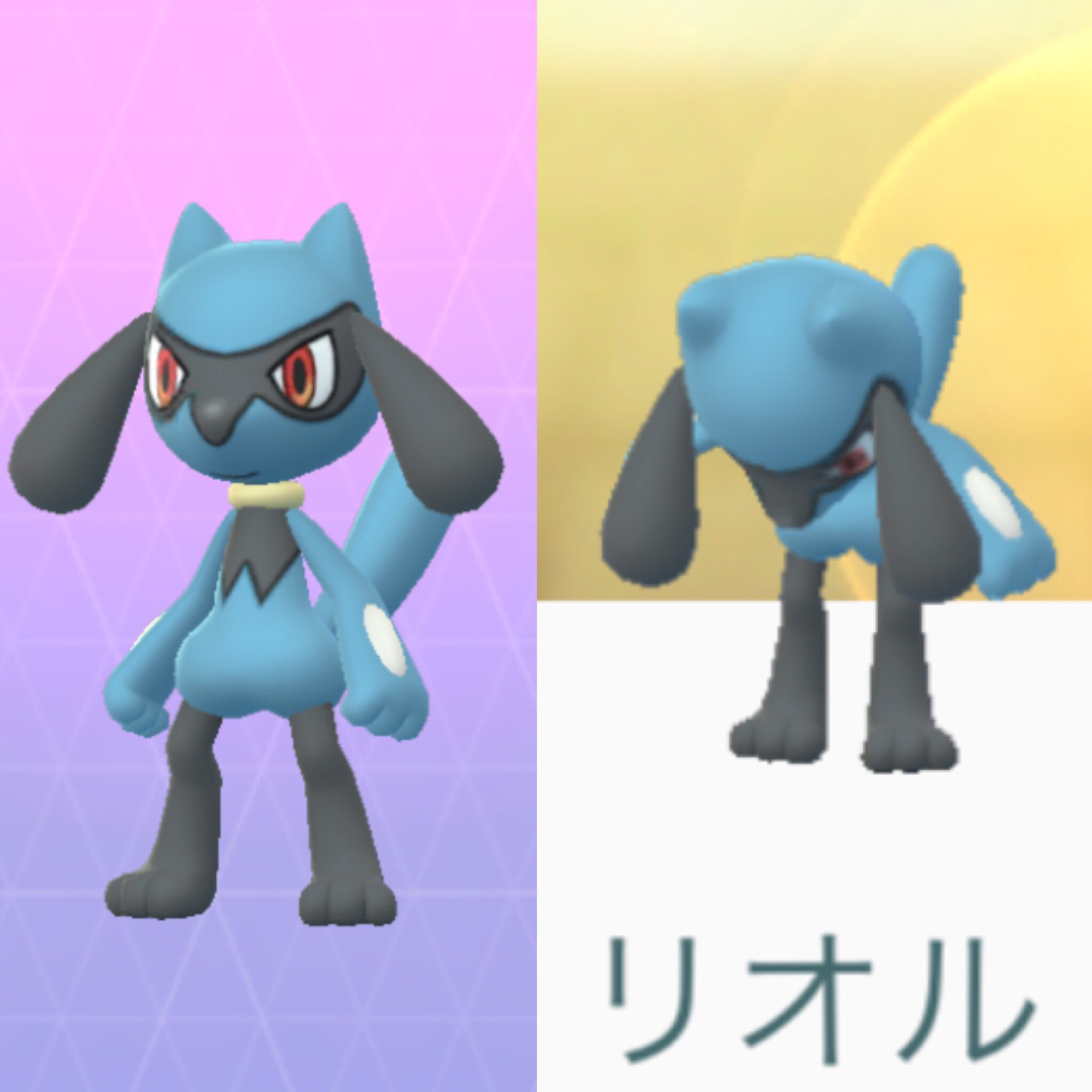 Magurooo Twitterren ポケモン誕生の記念日に ついにリオルちゃんがうちに来てくれました キャー かわいい ポケモンgo ポケ活 リオル ポケモン誕生の記念日 T Co Qgte3nmnse Twitter