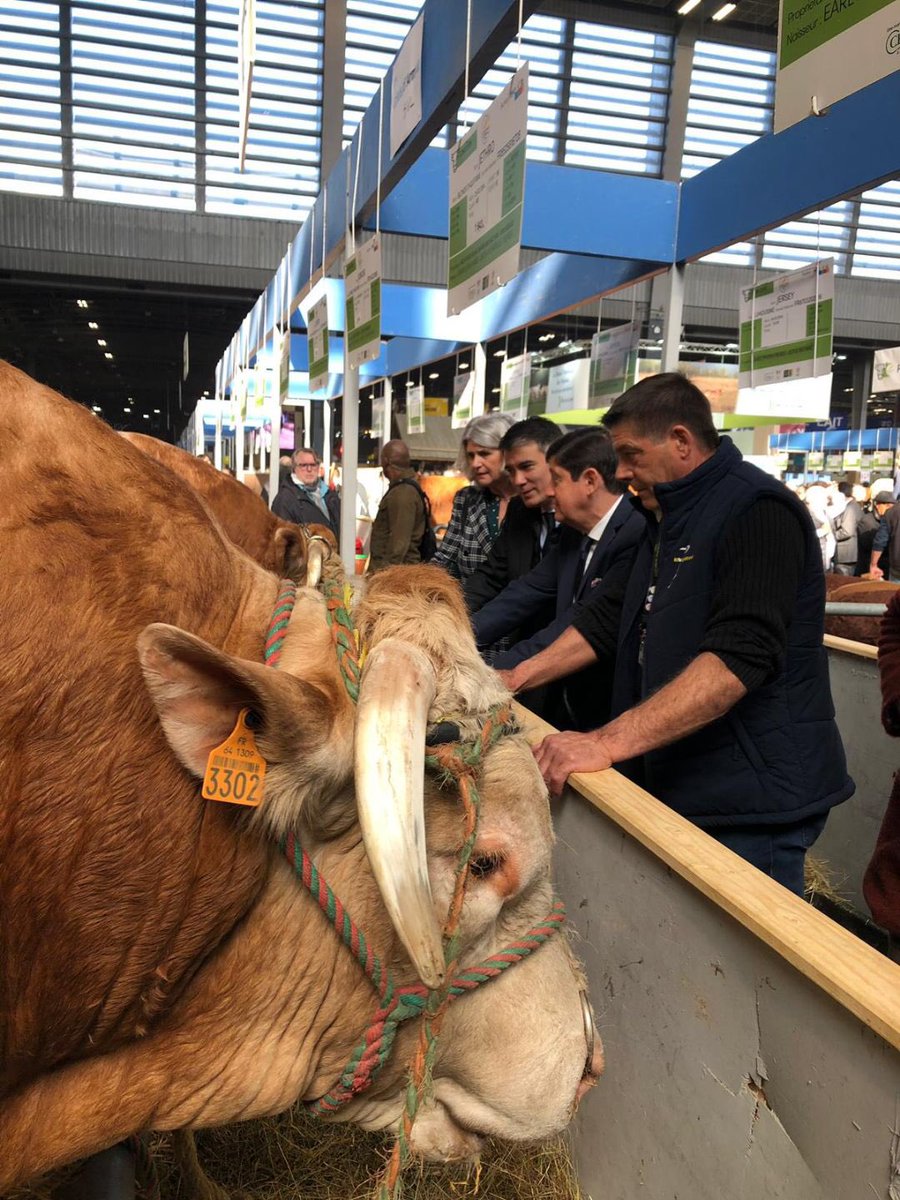 PatrickKanner's tweet photo. Des agneaux du Lot aux Blondes d'Aquitaine, notre pays est riche de ses éleveurs et son agriculture. Nous partageons cette fierté. #SIA2019 https://t.co/NLkEzVl4Oq