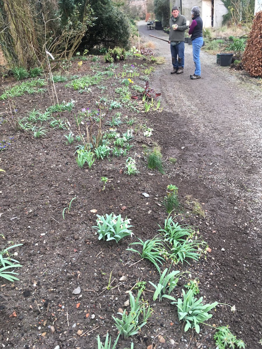 Only two days until we open! Busy, busy, busy planting, weeding and getting the paths and drive ready. Visitors are going to see that a lot has changed since 2018.