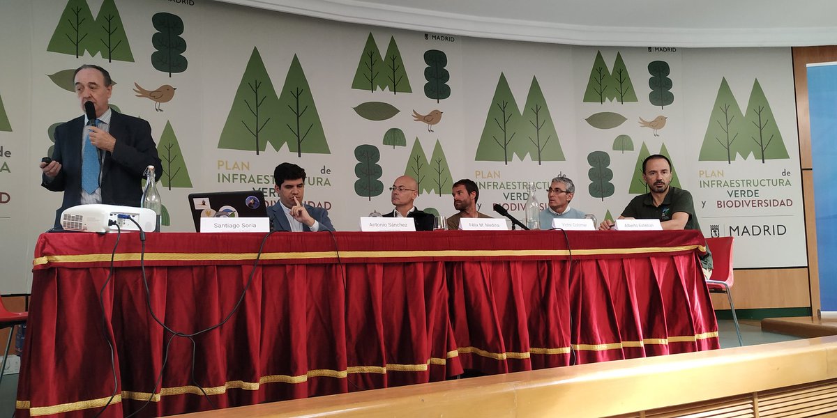 MJTM1206's tweet photo. Jornada y debate sobre control de poblaciones de cotorras en medio urbano.#comertu #ciguenastop https://t.co/CJa1qzbv61