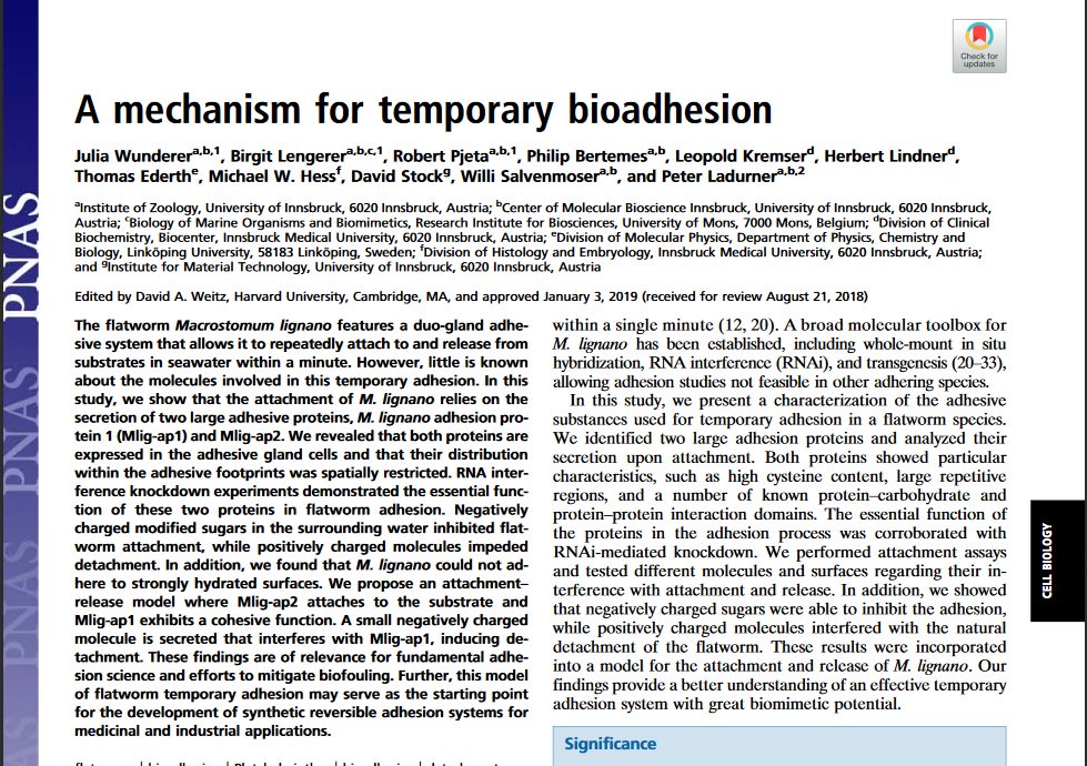 ENBA bioadhesion tweet media
