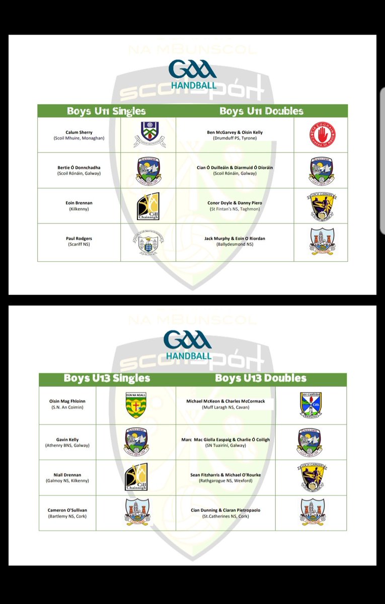 Clare GAA Handball tweet media