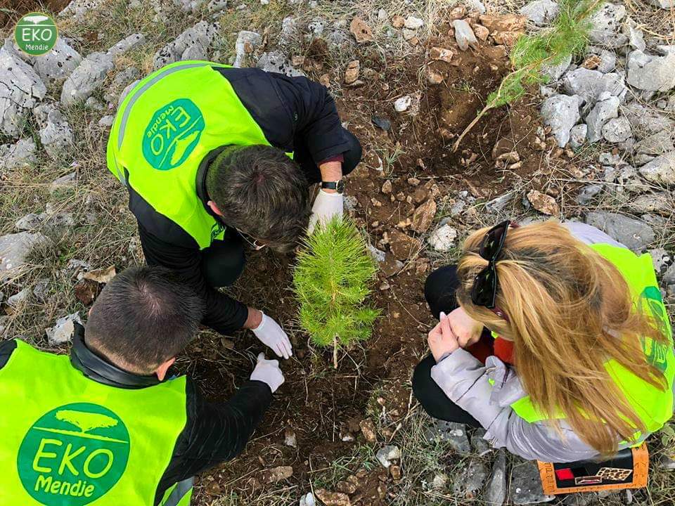MendjeEko's tweet photo. U shtuan & 100 fidane 🌲te tjere Ballkonit te Bunes.
Aty ku nje dite enderrojme qe te krijohet parku natyror!
#EKOMendje #MeShumeFrymeShkodres #ShkodraAshtDashni #krijoO2tend #mbill5peme #cleanandgreen2020 #smilealbania 🌞 https://t.co/YvsBPMwgUb