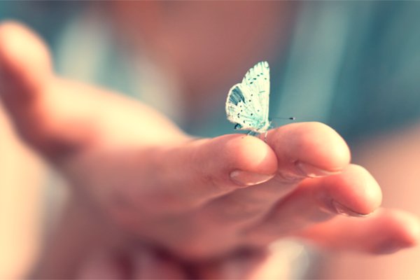 JAXenter's tweet image. Flutter 1.2: Mehr Stabilität und neue Tools für Entwickler bit.ly/2H4eHiS #flutter #fluttersdk #sdk #mobile #android #dartlang #dart