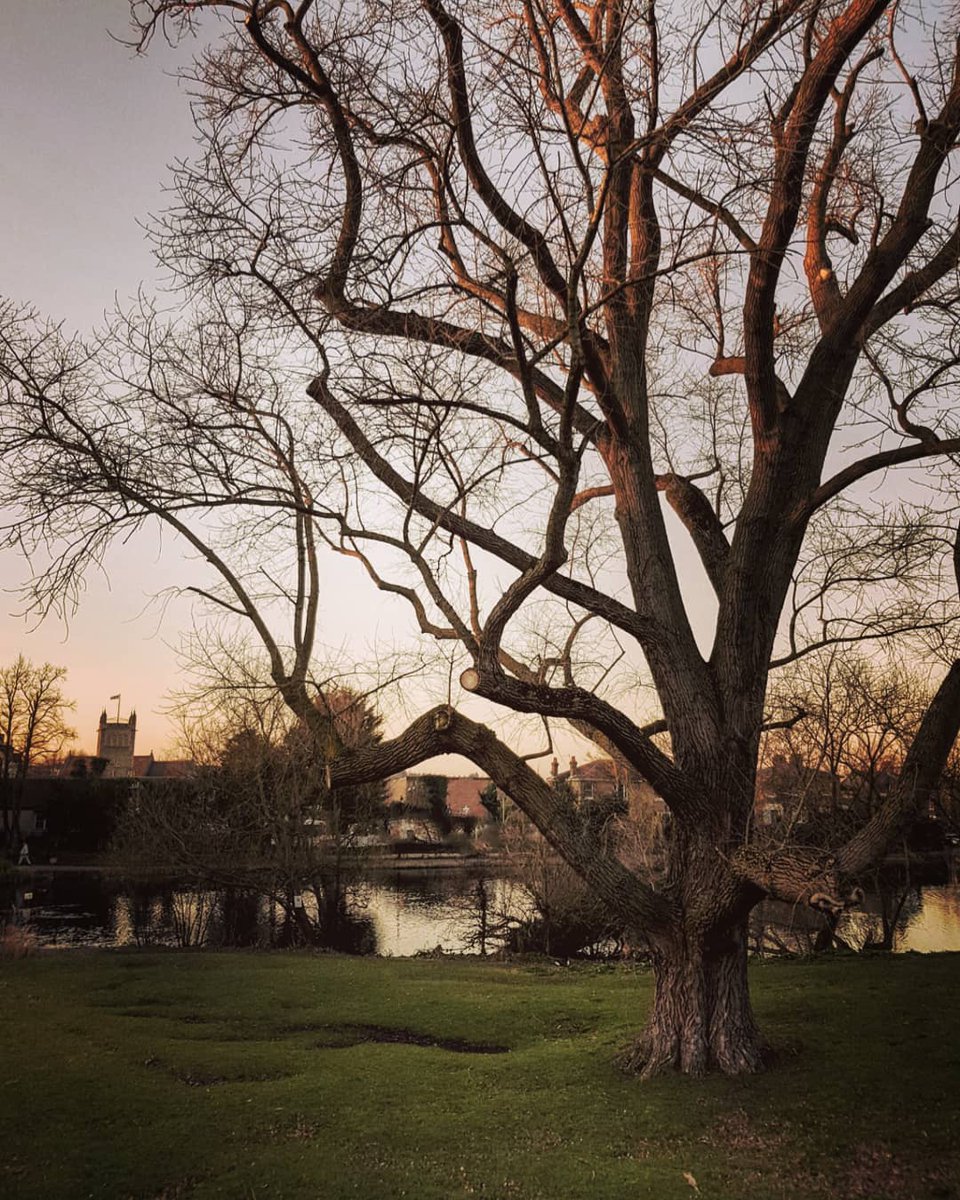 Prickend Pond, Chislehurst, London, England, 2019