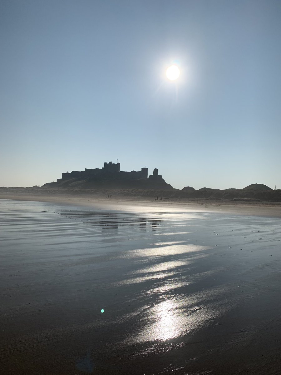 Beautiful Bamburgh today ☀️🌊🐶☀️#bamburgh #beach #blueskies #springlike #feelslikespring #warmerweather #scenic #dogwalking #northumberland #nofilter