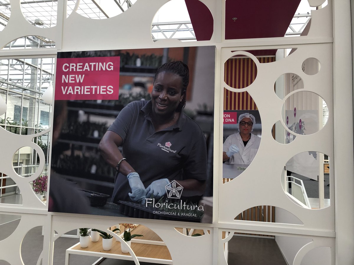 MarcEijs's tweet photo. Floricultura's permanent booth at the @WorldHortiCentr in Naaldwijk has been updated with our new visual identity. Check out my colleagues showing their passion for tropical plants. https://t.co/F2IIuWumnR