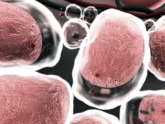 Kornfeld_JanW's tweet image. Our newly @novonordiskfond funded Center for Adipocyte Signaling (#ADIPOSIGN) is hiring enthusiastic biomedical and computational #postdocs #Phd and #technical_staff with a keen interest in adipocyte aberration in metabolic disease:
sdu.dk/en/adiposign/j…