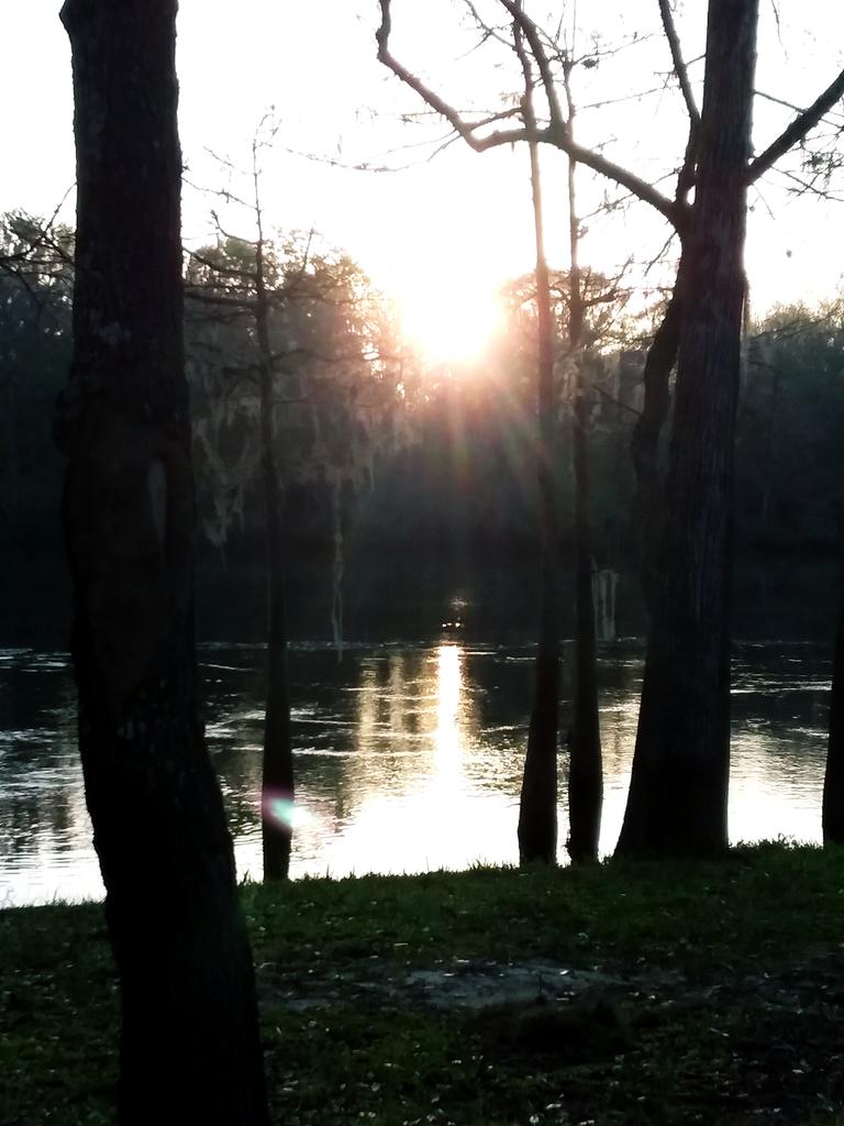Lex_Richardson5's tweet photo. @JaymeKingFox35 #snapthesun Sunrise on the Suwannee River...Dixie County https://t.co/Td3kOWFwR7