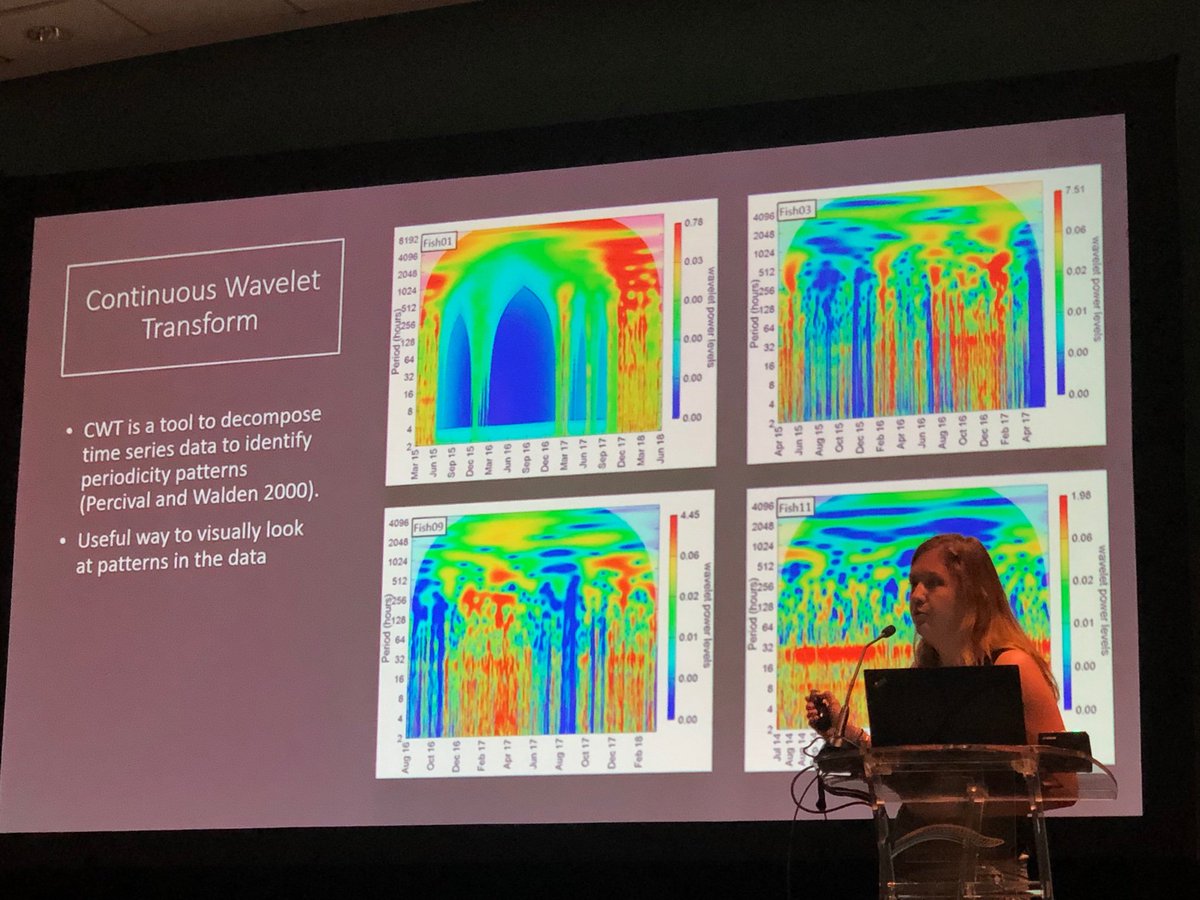 badkittystt's tweet photo. My amazing friend at #aslo2019 https://t.co/iiKZdGtLbl
