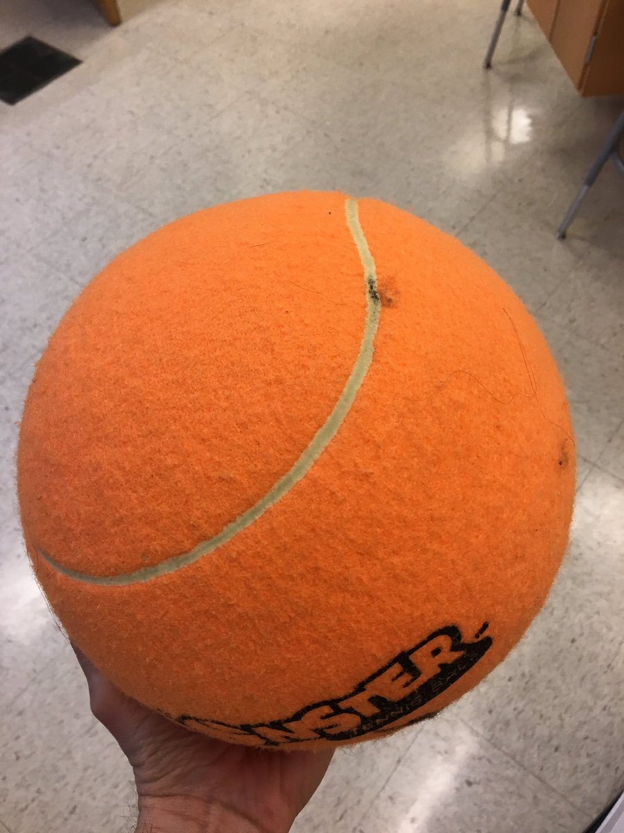 SteveMaier_'s tweet photo. Giant tennis ball 🎾 vs. sopping wet roll of toilet paper 🧻 💦 dropped from rest on a @VernierST force plate. Physics says the F_avg experienced should be different... and they are! Which one should be greater? By how much? Why? #AlvaPhysics #iteachphysics https://t.co/ITS8PlQzuI