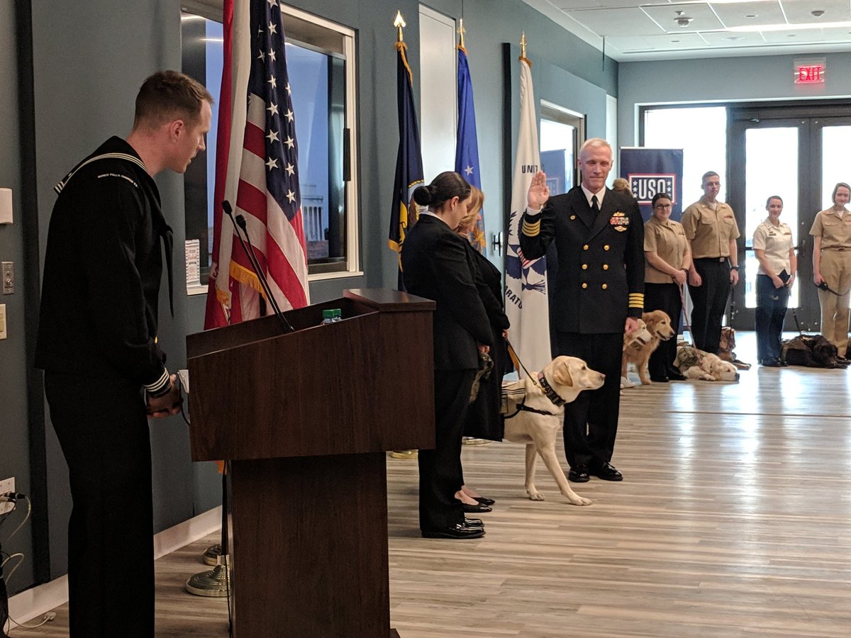 Julio_Rosas11's tweet photo. Non-Cohen news: Sully H.W. Bush getting "sworn in" at Walter Reed National Military Center. He's joining other dogs to help wounded service members. https://t.co/505xpOudAq