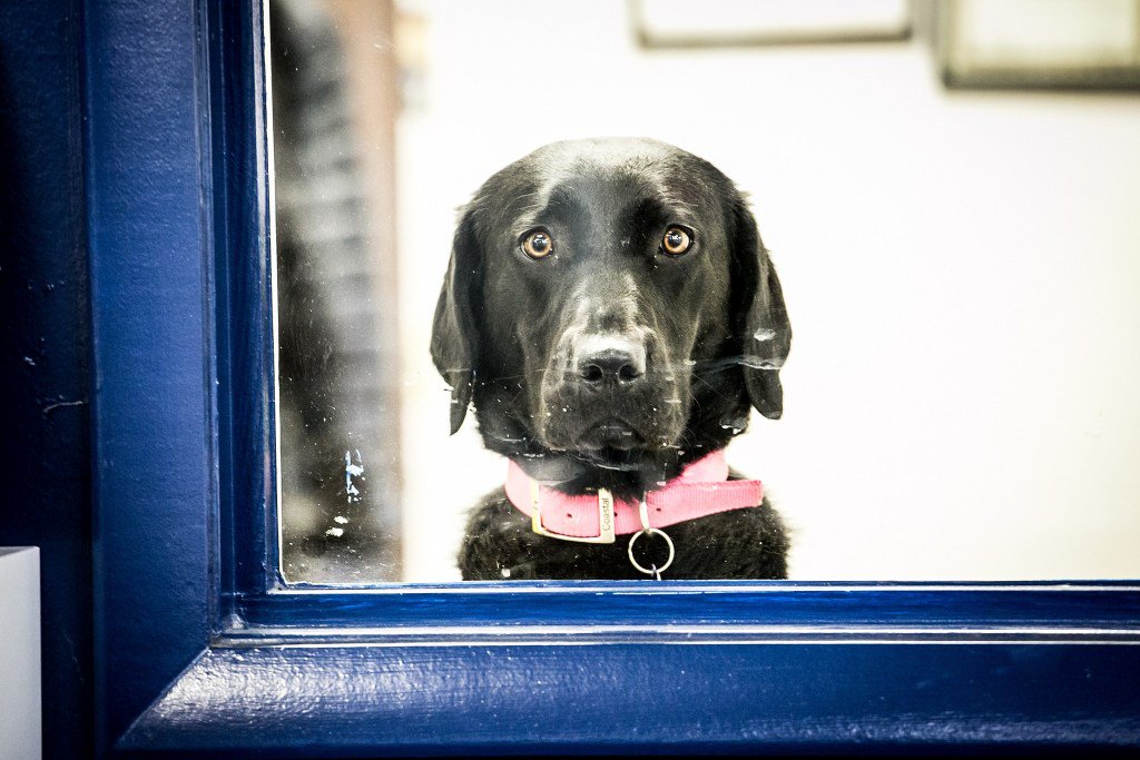 Your Guide to Week 2 of the 2019 CrossFit Open crossfitroots.com/42625/your-gui…