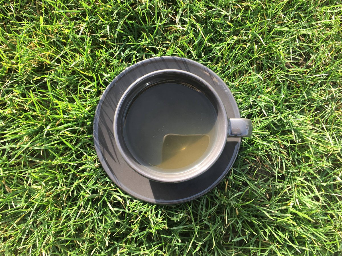 tupteaUK's tweet photo. Studies show that exposure to nature can reduce hypertension, respiratory tract and cardiovascular illnesses, as well as improving mood. Factor in the mind and heart benefits of green tea and you have the perfect excuse for that alfresco tea!
#greentea #health #tea #nature #sunny https://t.co/t9MIJHGhXu