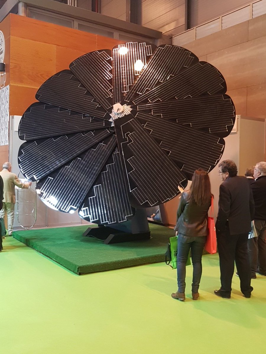 ingenature's tweet photo. Girasoles solares en #Genera2019 https://t.co/8Kn1YEO9M5