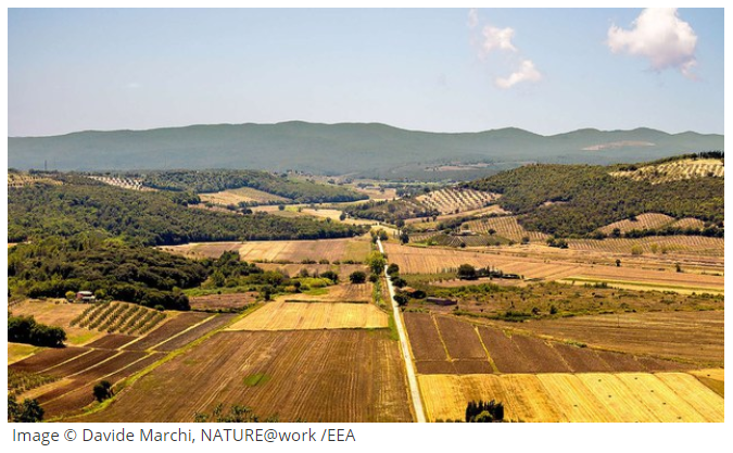 Our new briefing explains recent progress made in mapping #ecosystem types and their associated #habitats. Mapping #Europe’s ecosystems: eea.europa.eu/highlights/map… #biodiversity