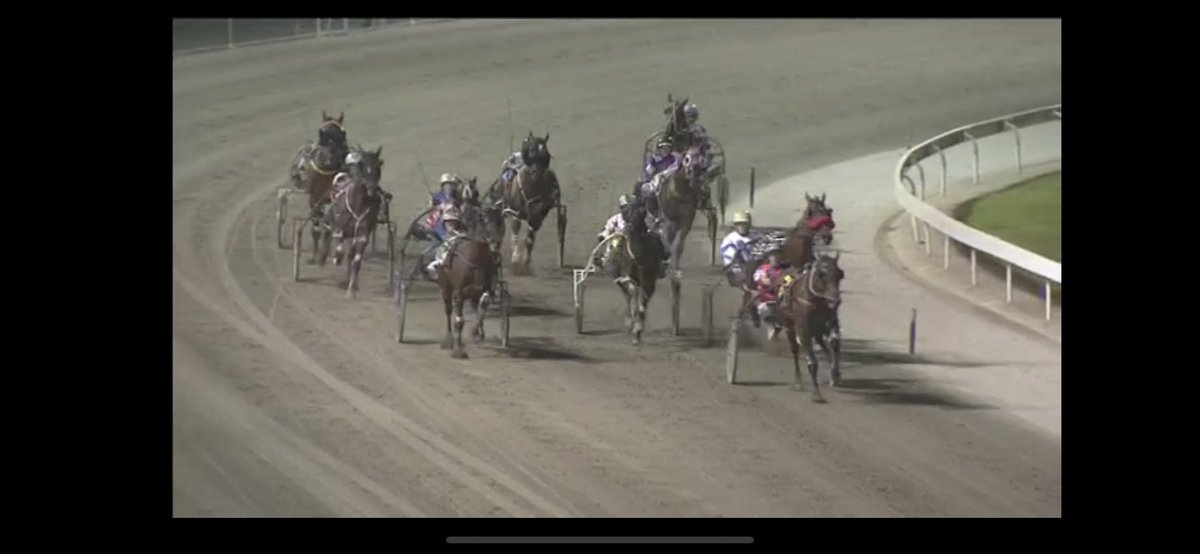 waynehillracing's tweet photo. Double 2nite @milduratrots #threecases💼won nicely after breezing in a 57.8 last 1/2 #idealworld🌏worked mid race before lifting late when challenged in 1.59.1 bringing up a training double for @aaronbainracing🙌🙌 https://t.co/0B5674b6va