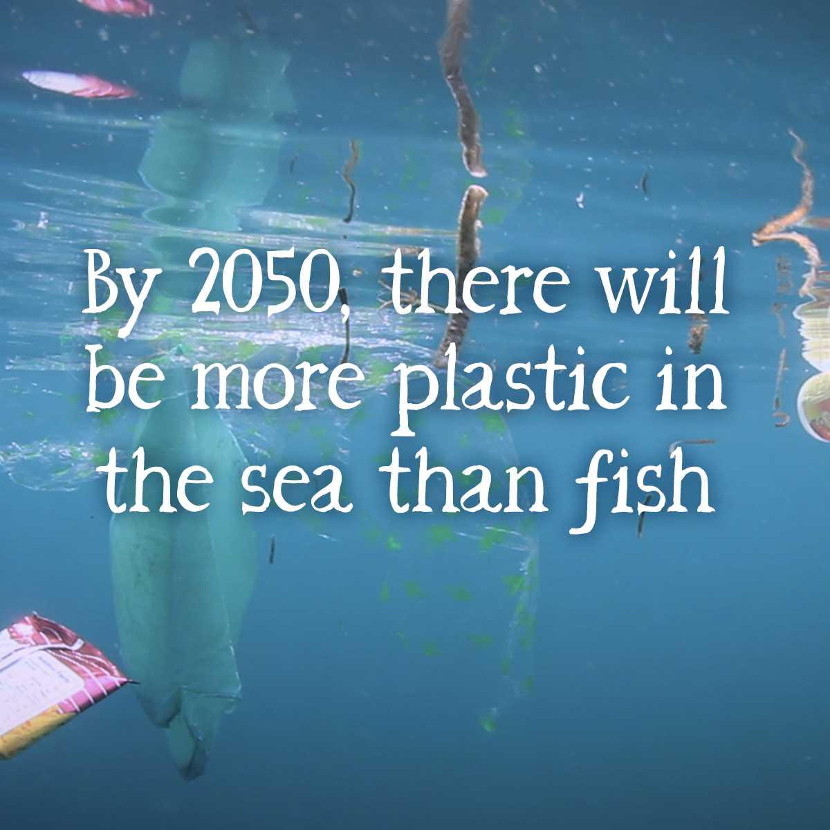veglifewales's tweet photo. We've just started selling a small range of sustainable fish (check it out here! https://t.co/LaILLPPhjC) but it's very worrying to read that as a society we are still polluting our oceans. Choose plastic free and lets turn the tide against plastic! 🐟🐠 #livelifeontheveg https://t.co/3syFj61g5S
