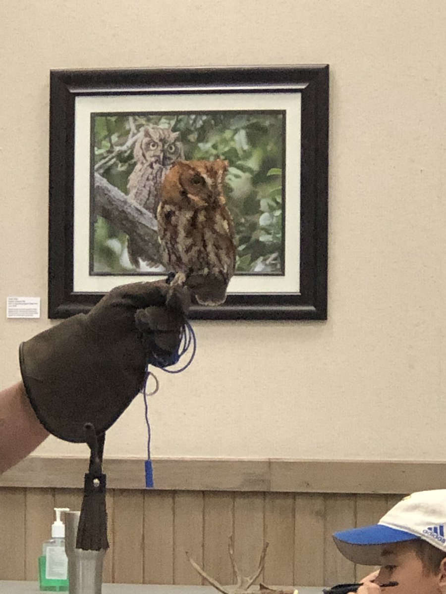 Yiselk Bell tweet media