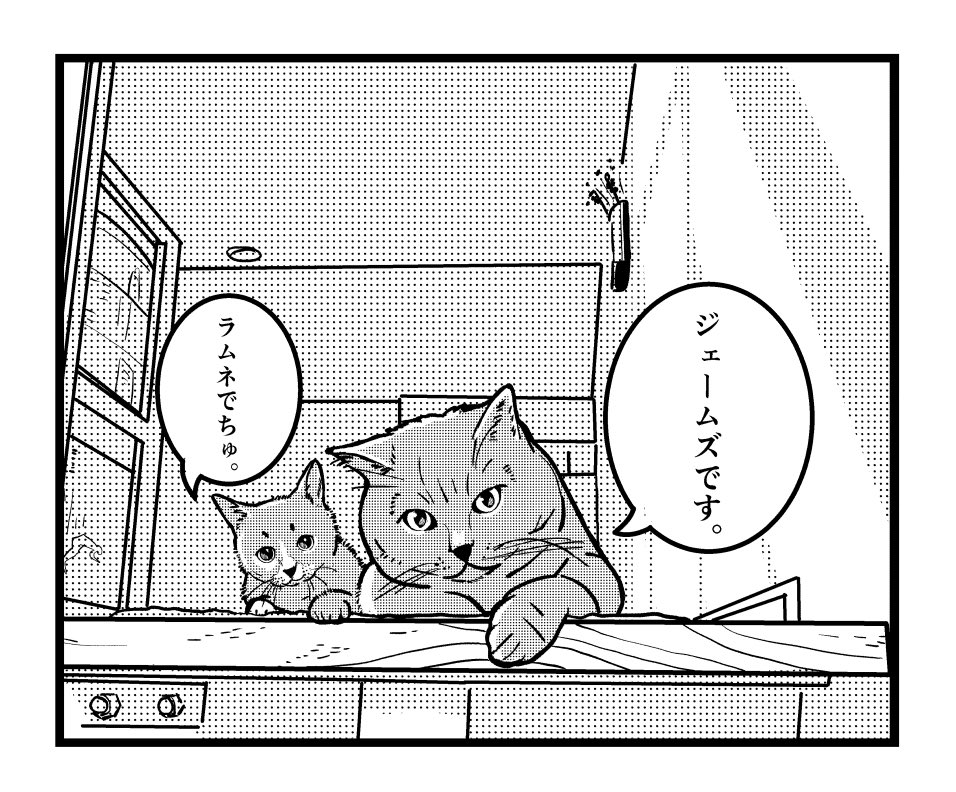 ÷(@arumat404)家の猫ち。
猫の日に誕生日だったジェームズにお祝い一コマ。おめでとう?
#一コマ猫 