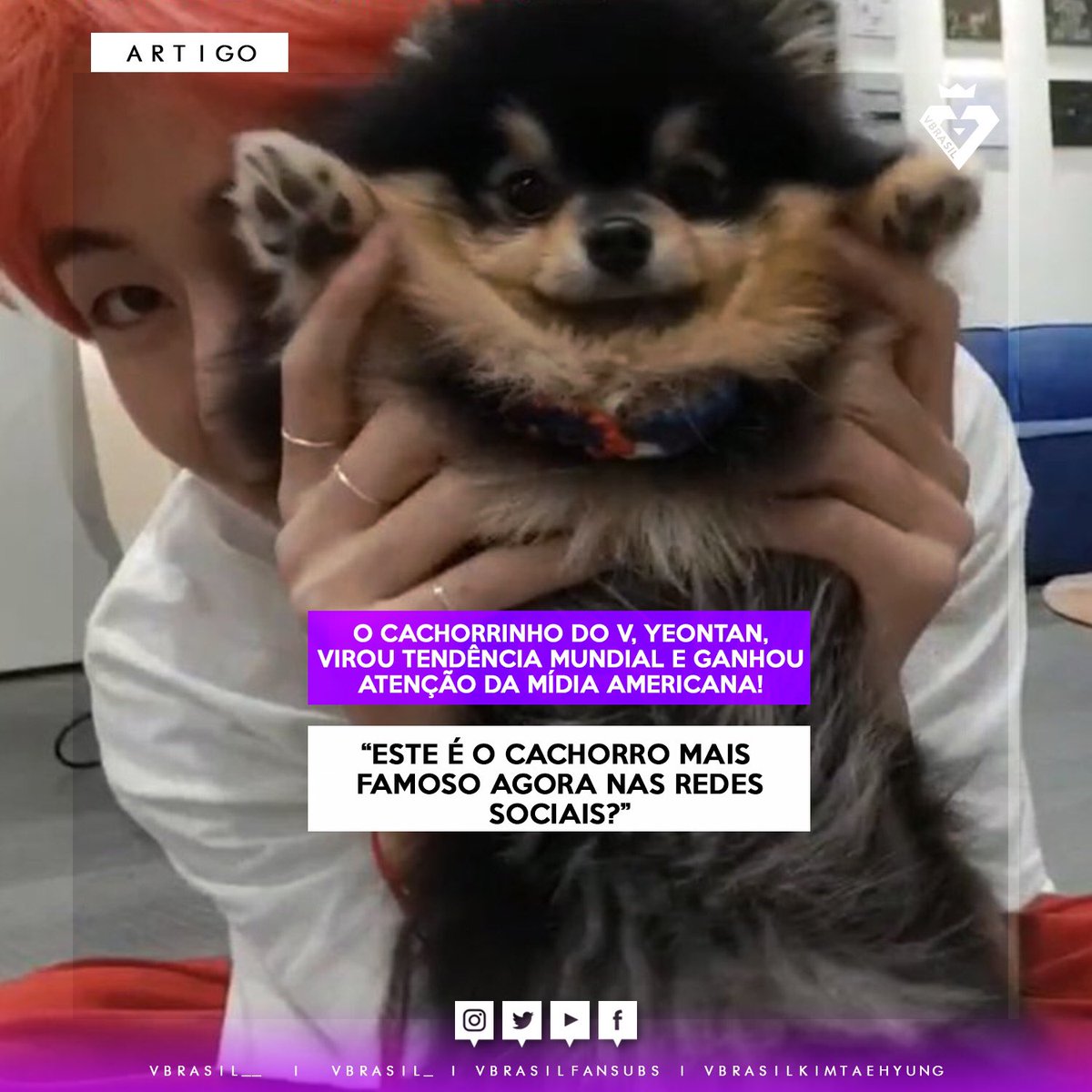 Cachorro v Clearance