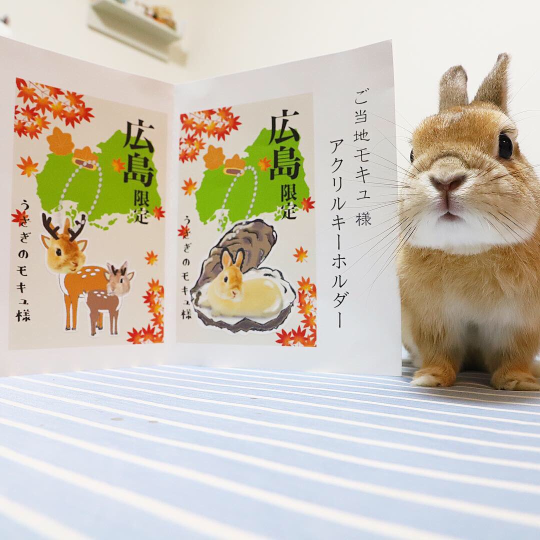 モキュ様のおかん うさぎしんぼる展が 広島にやってくるじゃけぇのぉ 個展が終わって つかの間 なんと うさぎしんぼる展が 広島パルコにやってくる 3 13 3 31 恒例のご当地アクキーは 牡蠣モキュと モキュ鹿ぺるぽ鹿 ٩ ๑ ᴗ ๑ ۶ モキュ様のおかん うさぎしんぼる展が 広島にやってくるじゃけぇのぉ 個展が終わって つかの間 なんと うさぎしんぼる展が 広島パルコにやってくる 3 13 3 31 恒例のご当地アクキーは 牡蠣モキュと モキュ鹿ぺるぽ鹿 ٩ ๑ ᴗ ๑ ۶