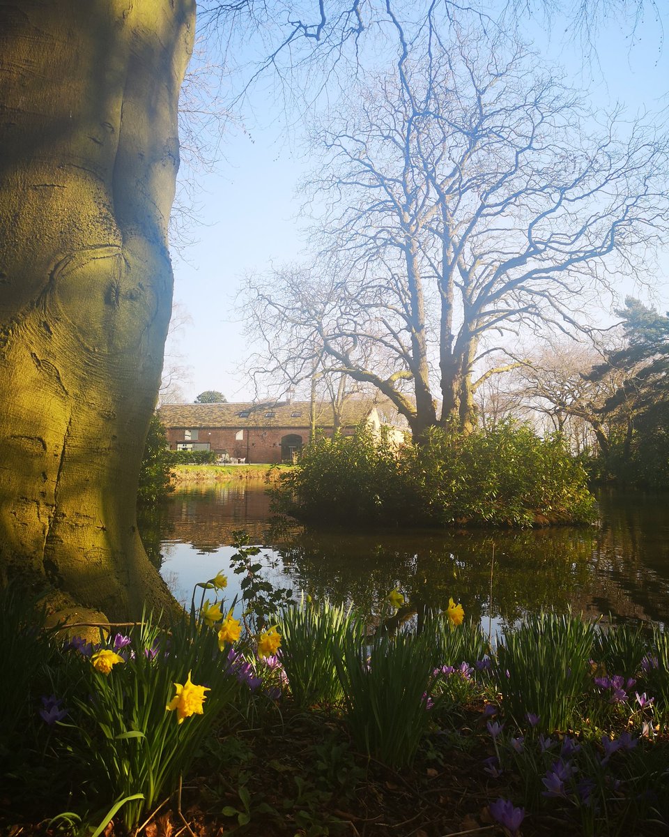 TheBarnMH's tweet image. Hello Spring 🌼🦋🌿
#spring #feelslikespring #february #restaurant #restaurants #lunch #dinner #thebarnmoorhall #thebarn #moorhall #moorhalllancashire #aughton #lancashire #view #currentview #chef #markbirchall