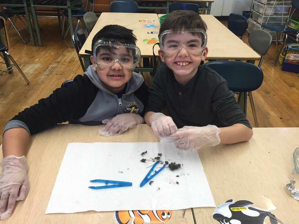 MrsSimmons159's tweet photo. Owl pellets with 4-255!! #159scientists @PS159_Q https://t.co/bYGwmOVNae