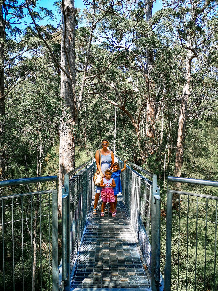 viaggiatori's tweet image. L'Australia che non ti aspetti: una forte emozione trovarsi a Walpole tra i giganteschi alberi di Eucalyptus  che possono raggiungere i 50 metri di altezza e oltre 400 anni di vita.

#nonsoloturisti #movesafe