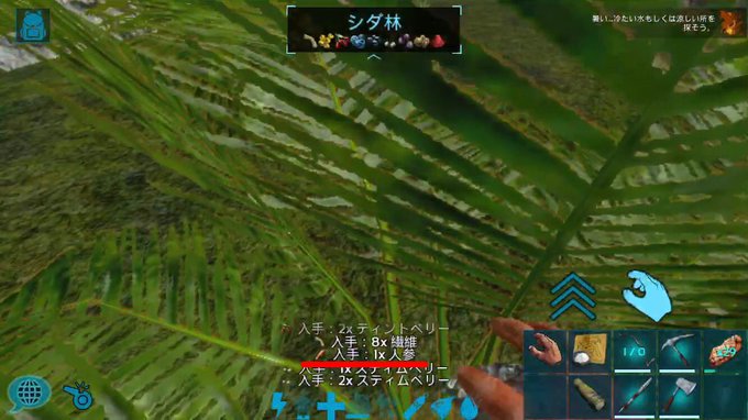 Ark ニンジン 入手 ただのゲームの写真