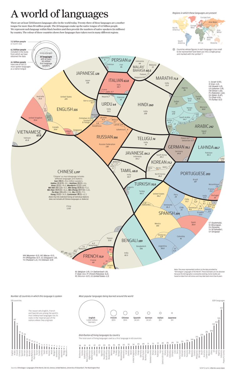 imagination_nat's tweet photo. [Knowledge] 

Infographic นี้น่าสนใจดี แสดงสัดส่วนของภาษาที่ใช้ในประเทศต่างๆ และจำนวนประชากรที่พูดภาษานั้นๆ แบบคร่าวๆ (เผื่อเป็น guideline ให้ใครที่อยากเริ่มเรียนภาษาเพิ่มเติมค่ะ) https://t.co/kK0z0eY6MV