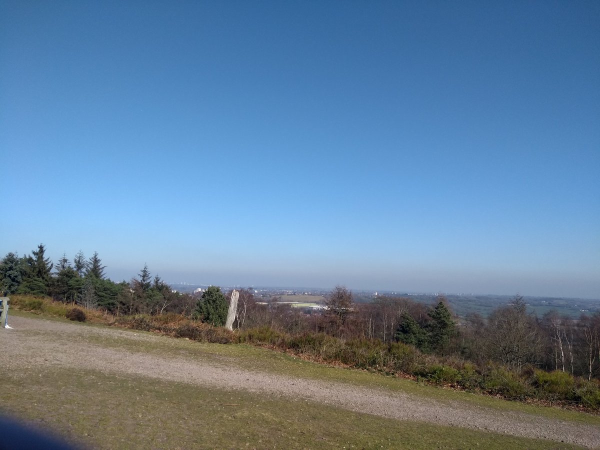Beautiful blue sky over Lickey Hills today. Perfect for walking the dogs