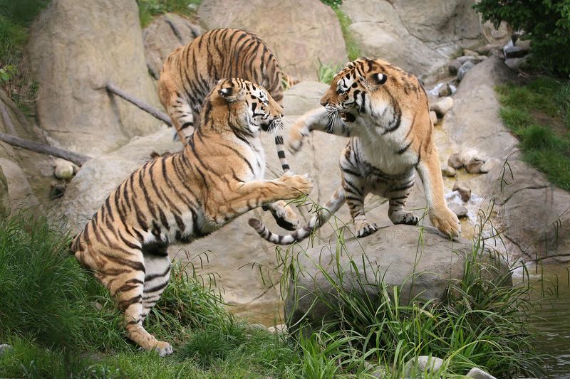 Barnacles Hostel Dublin tweet media