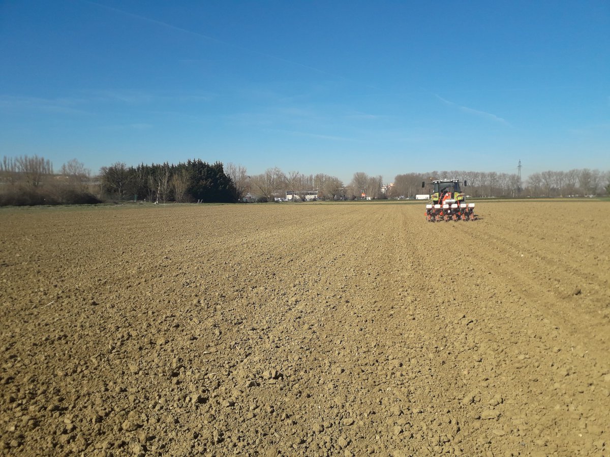 UEAuzeville's tweet photo. [#REDUCE] Semis des #poischiche (Twist) sur l'essai 0 pesticide et l'essai en TCS. 45 gr/m2; espacement à 50; profondeur 3 cm #Kuhnmaxima #ecophyto2 
@Inra_Tlse @Dephy_Ecophyto https://t.co/3aHT1OVa72