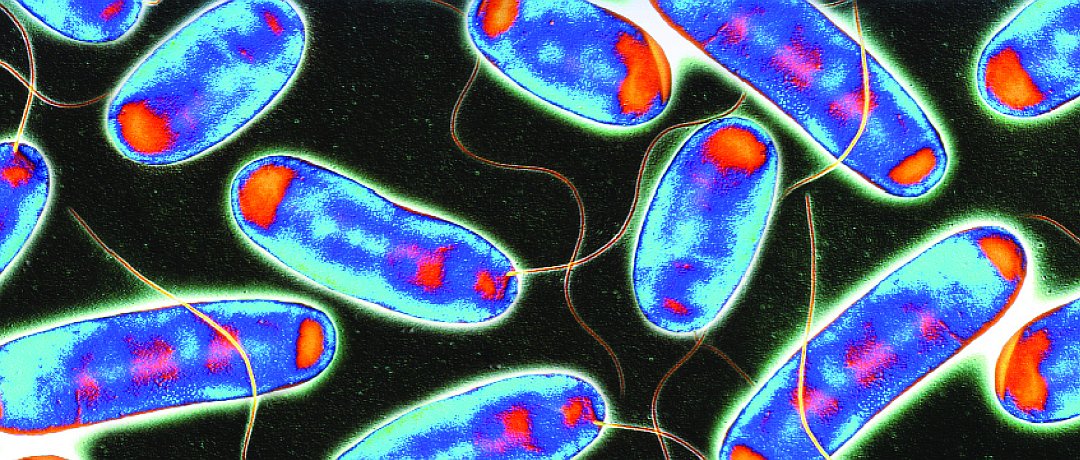 A legionella outbreak can result in prosecution and limitless fines for owners, managers and directors of a property. Talk to us about Water Tank testing and cleaning. ow.ly/i7Ja30nMpJA