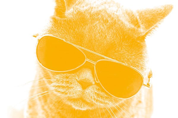 MoneyObserver's tweet photo. The lang cat guide to Isa investing 2019: check out "one of the most jargon-lite and entertaining introductions to investing out there" via @theactualpolson, @langcatmike and @langcatlocke https://t.co/C2yFGoErQy #ISAseason #investing https://t.co/3DxTOGxsj3