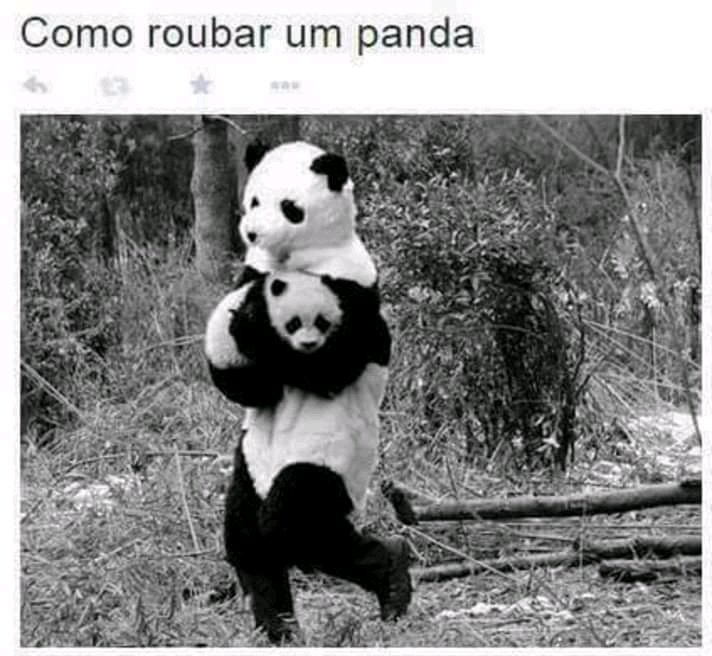 messiaslima_fc's tweet photo. Tutorial de como rouba um #panda https://t.co/5O60ZyY3cq