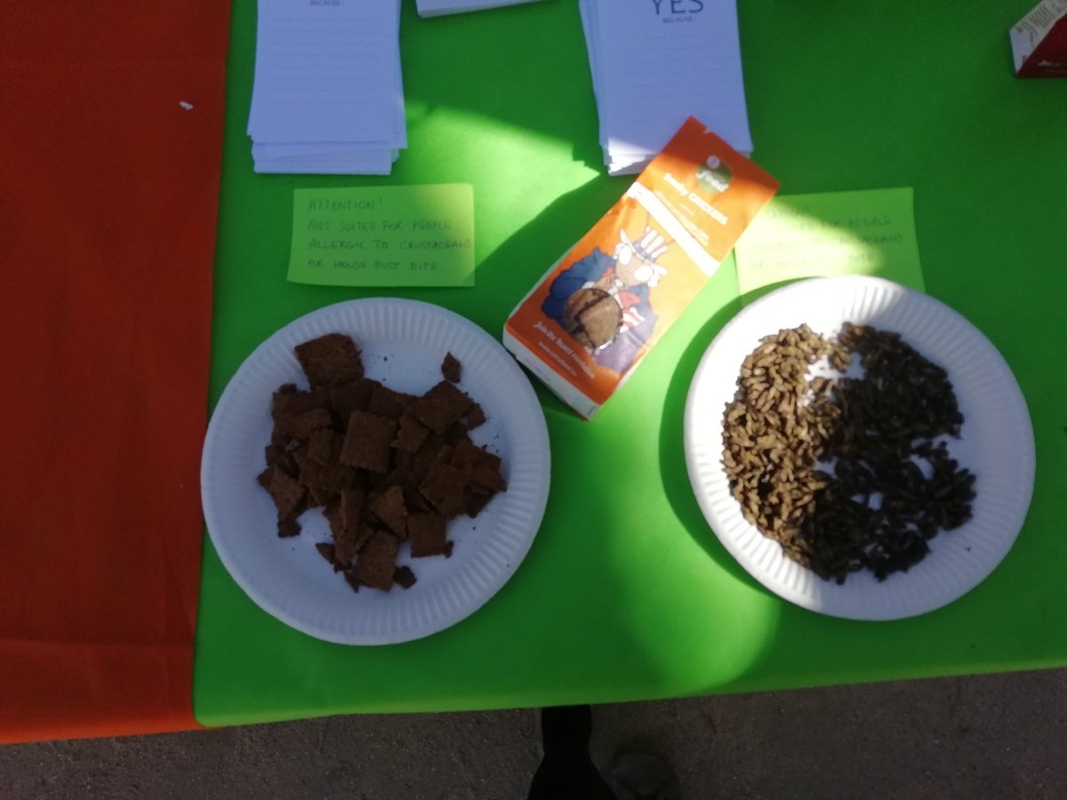 Bugs for lunch? #BigPicnic @botanicgarden01