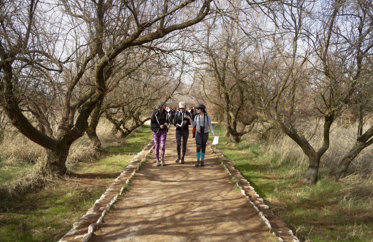 katrin_elp's tweet photo. Nuestra aula éste fin de semana ha sido @tablas_daimiel Un oasis en la estepa de La Mancha, un humedal declarado Parque Nacional y Reserva de la Biosfera
#ProgramaPaisajes
@turismolamancha @unav @destinosmanchegos https://t.co/SnXONzkNxS https://t.co/XusWnAPxgI