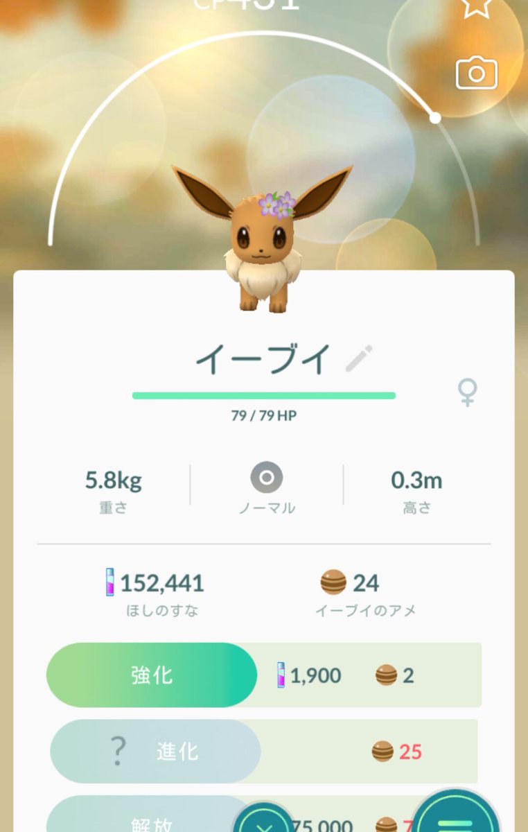 イーブイ花飾り Cerca Su Twitter Twitter イーブイ花飾り Cerca Su Twitter Twitter