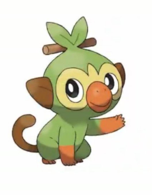 ポケモン剣盾 御三家 サルノリ メッソン ヒバニー最終進化予想 進化後は炎格闘 キングカズマ サムルノリ 元ネタの由来や意味 ポケモンソードシールド 芸能ニュース速報