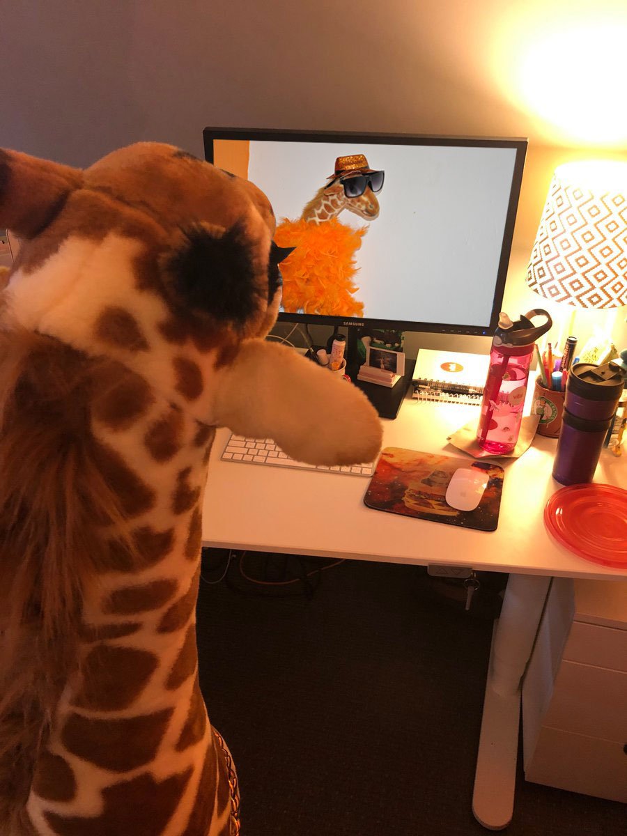 mandytechnology's tweet photo. @Tango_Tweets Skyping with his cousin from India #Bromance #CommunicatingOverseas #Technology #DigitalLife https://t.co/c5qNRgGB3t