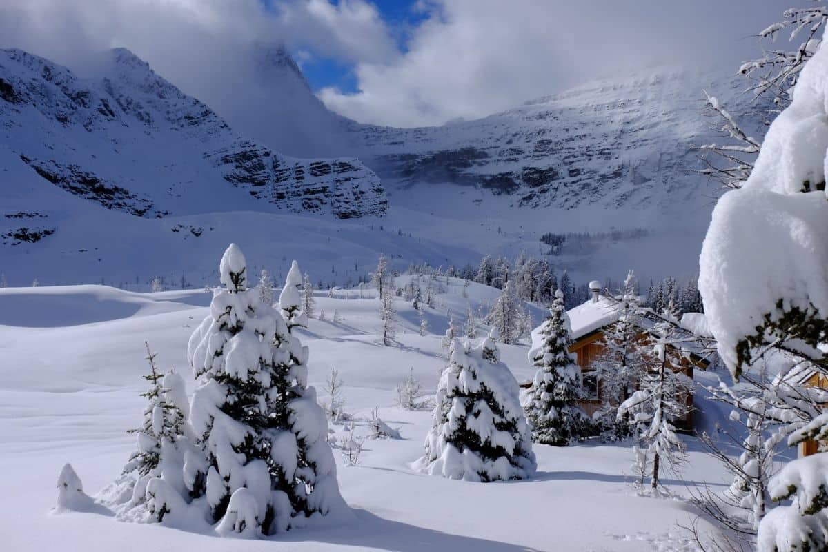 bcbackcountry's tweet photo. All this fresh snow — just waiting for your first footprint
📷: Talus Lodge
•
•
#myBCbackcountry
#backcountrylodgesofBC
#unpluginBC
#taluslodge https://t.co/XNjn76y3Ai