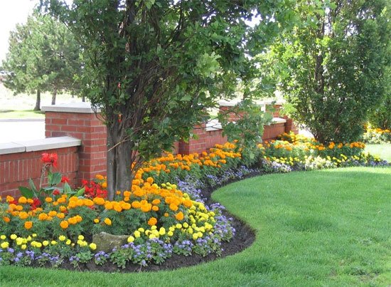 CompleteLandsc1's tweet image. Creating beautiful and elegant #SeasonalFlower plantings and color displays is a large part of branding and marketing your property. Book an on-site consultation here ow.ly/xcC030nPAzw