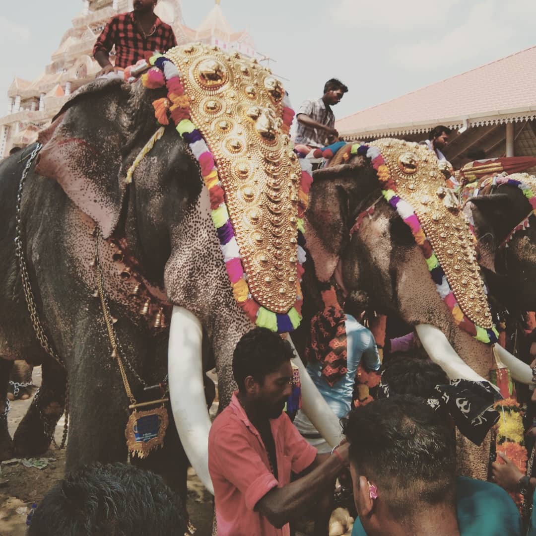 im1Akshay's tweet photo. #india #kerala #Temple #Photography #photograph #PHOTOS #calicut #Nikonistas #nikon #nikon #mobilephotography #mobilephotography https://t.co/cdEX8EBgmk