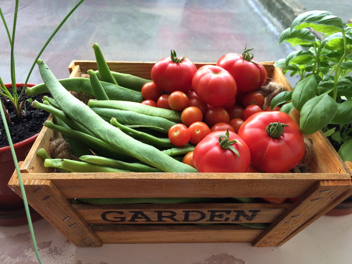Gardening club is today! Come along and enjoy this great weather as we learn the process of sowing seeds and taking care of them as they grow!

Thurs 4 - 6.30pm

For more info: thealbany.org.uk/projects/alban…

#gardening #vegetables #seasonal