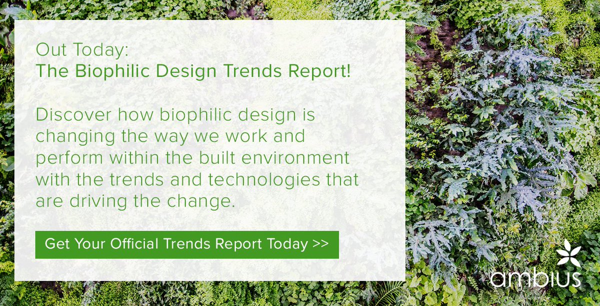 Ambius's tweet photo. It's HERE. The wait is over. You can now download your very own copy of the Biophilic Design Trends Report. #BiophilicTrends #EmpoweringWorkspaces
Get your copy TODAY >> https://t.co/DAfVcNo0XZ https://t.co/1sB52iqIE0
