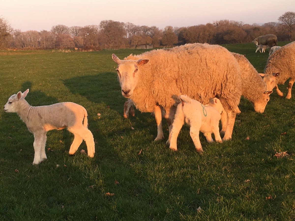 Enjoying the gorgeous evening in February,-8degrees this day last year