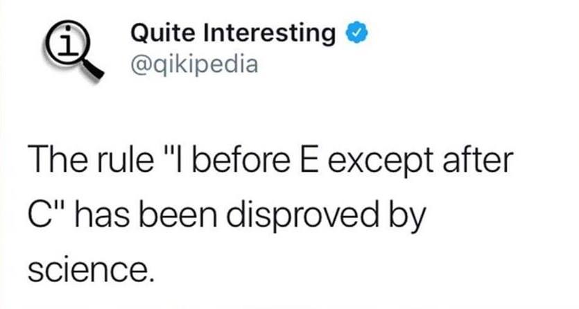 Nicole DragonBeck tweet media